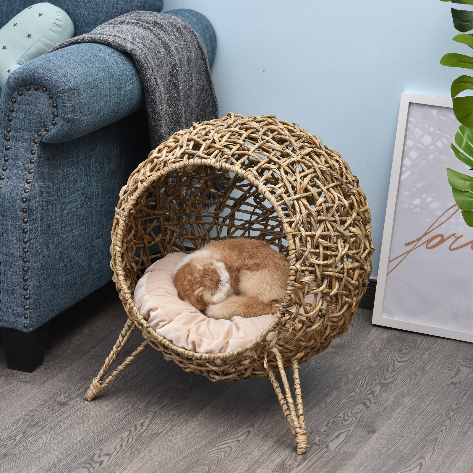 Cats Elevated Plastic Wicker Dome Bed