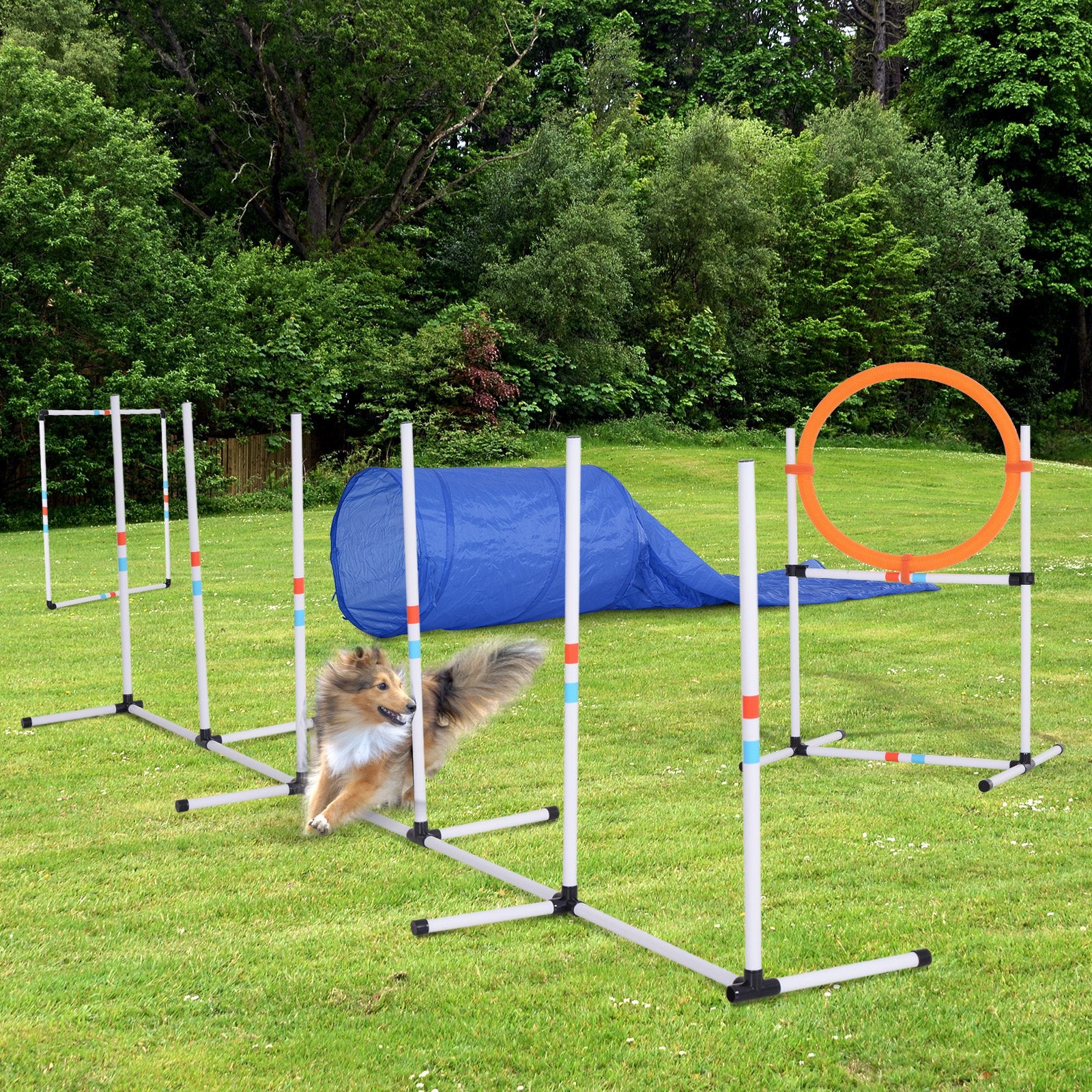 Dogs PE Set-of-5 Obstacle Agility Training Set White