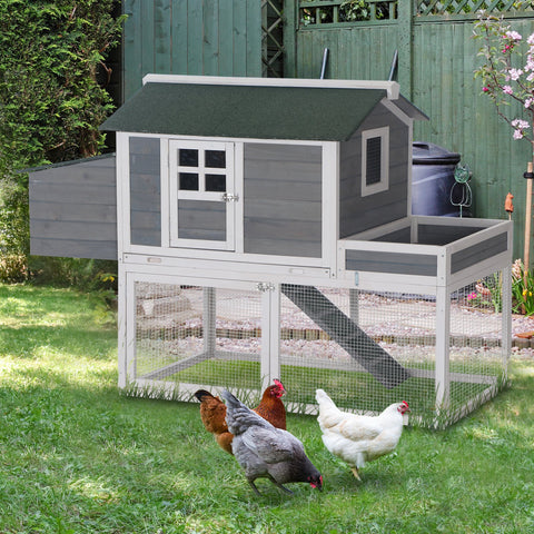 Chicken Coups & Feeders