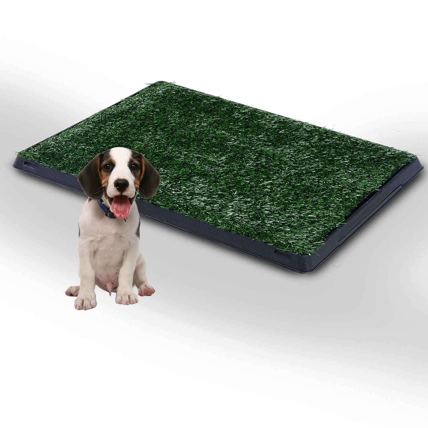 Indoor Pet Puppy Toilet Training Mat W/Tray and Loo Pad