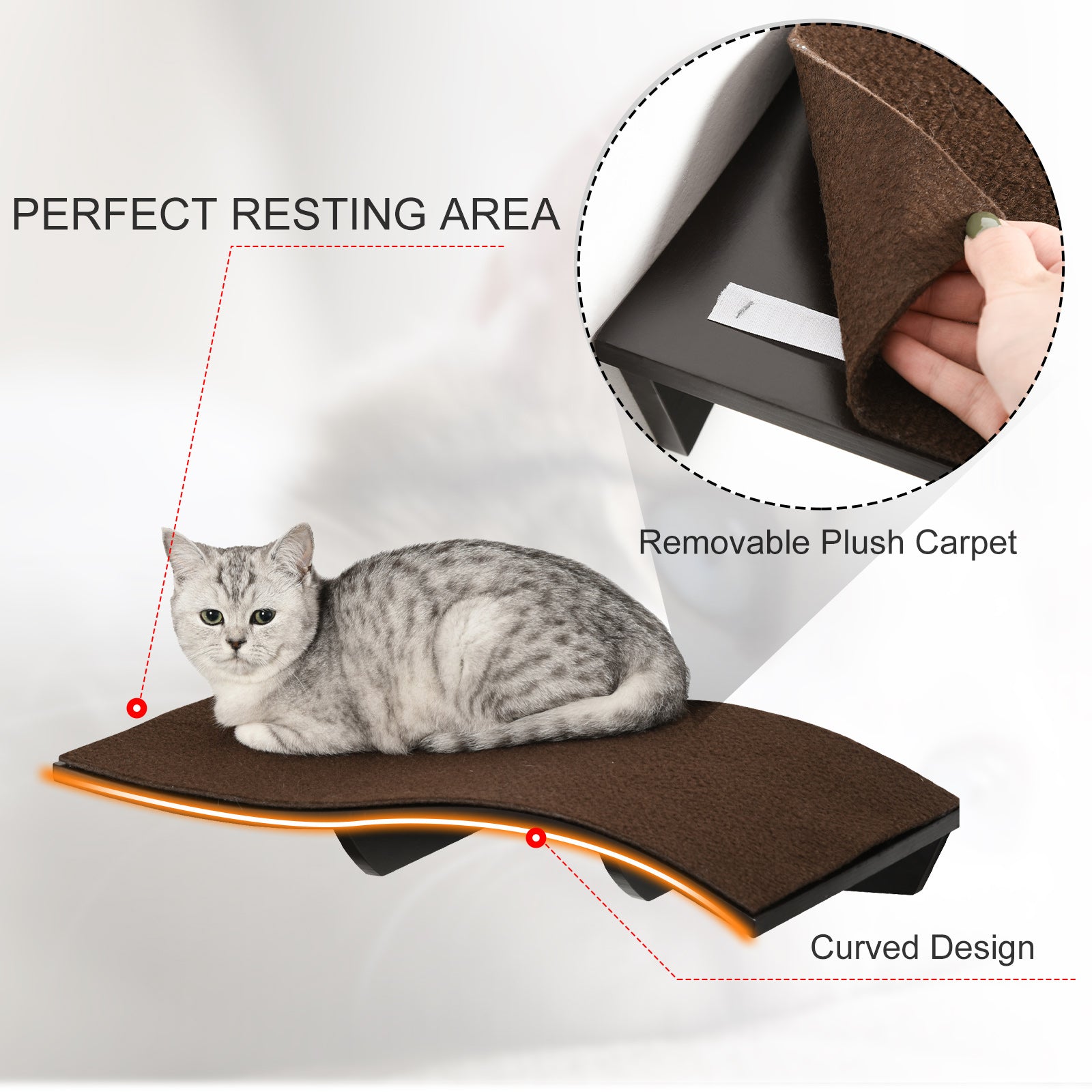 Wall Mounted Cat Shelf Perch Kitten Bed w/ Removable Carpet Accessories