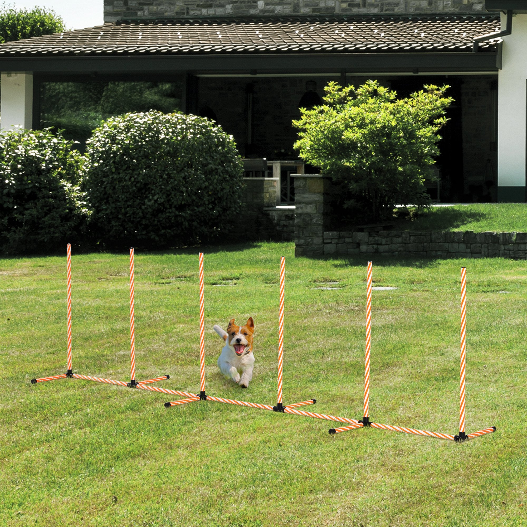 Dog Agility Weave Poles Training Obstacle Course Set Slalom Equipment with Bag