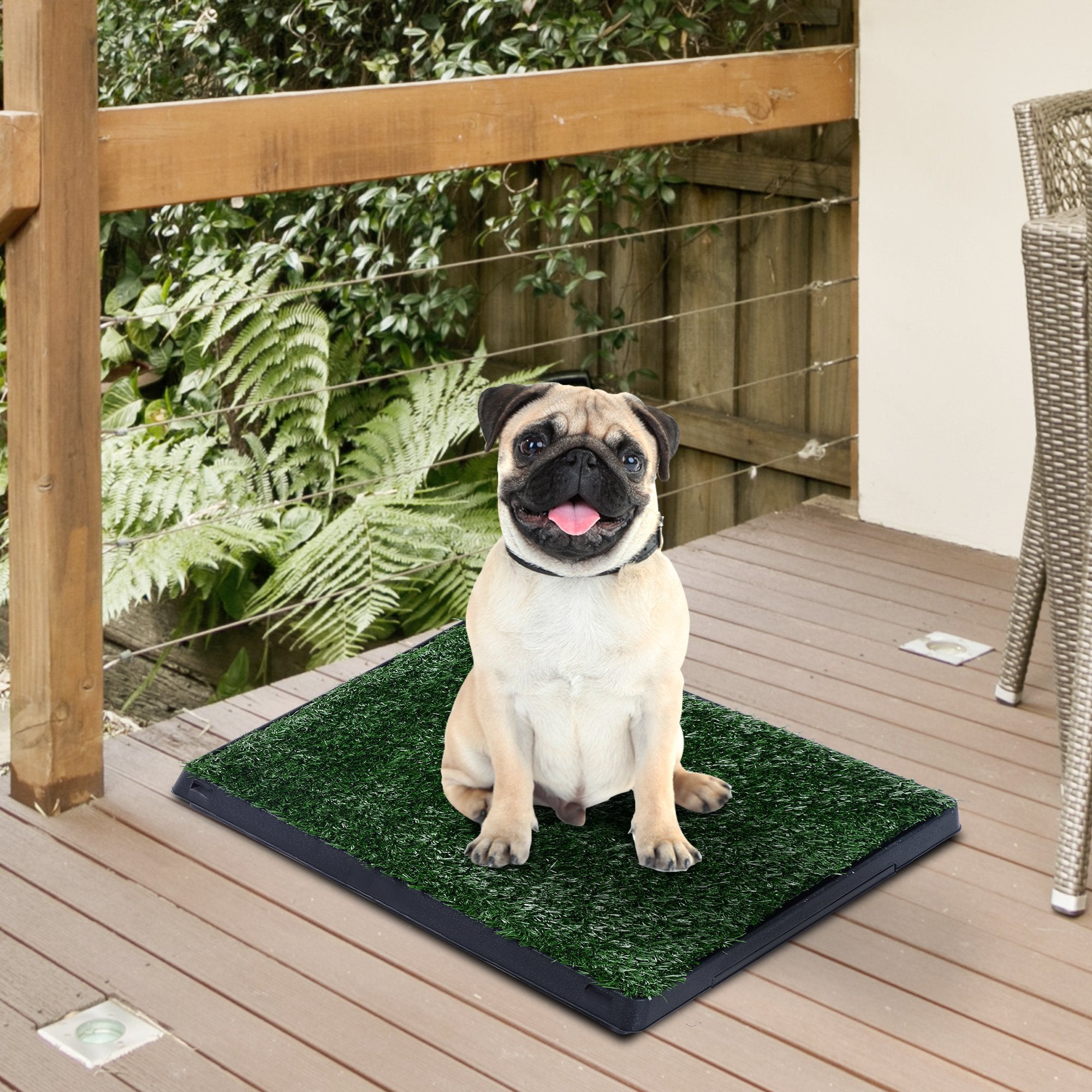 Indoor Pet Puppy Toilet Training Mat W/Tray and Loo Pad