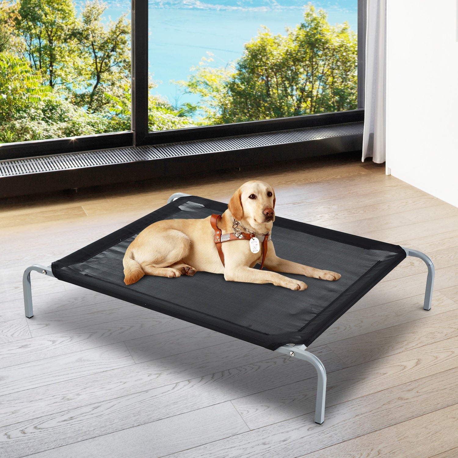Large Dogs Portable Elevated Fabric Bed for Camping Outdoors Black