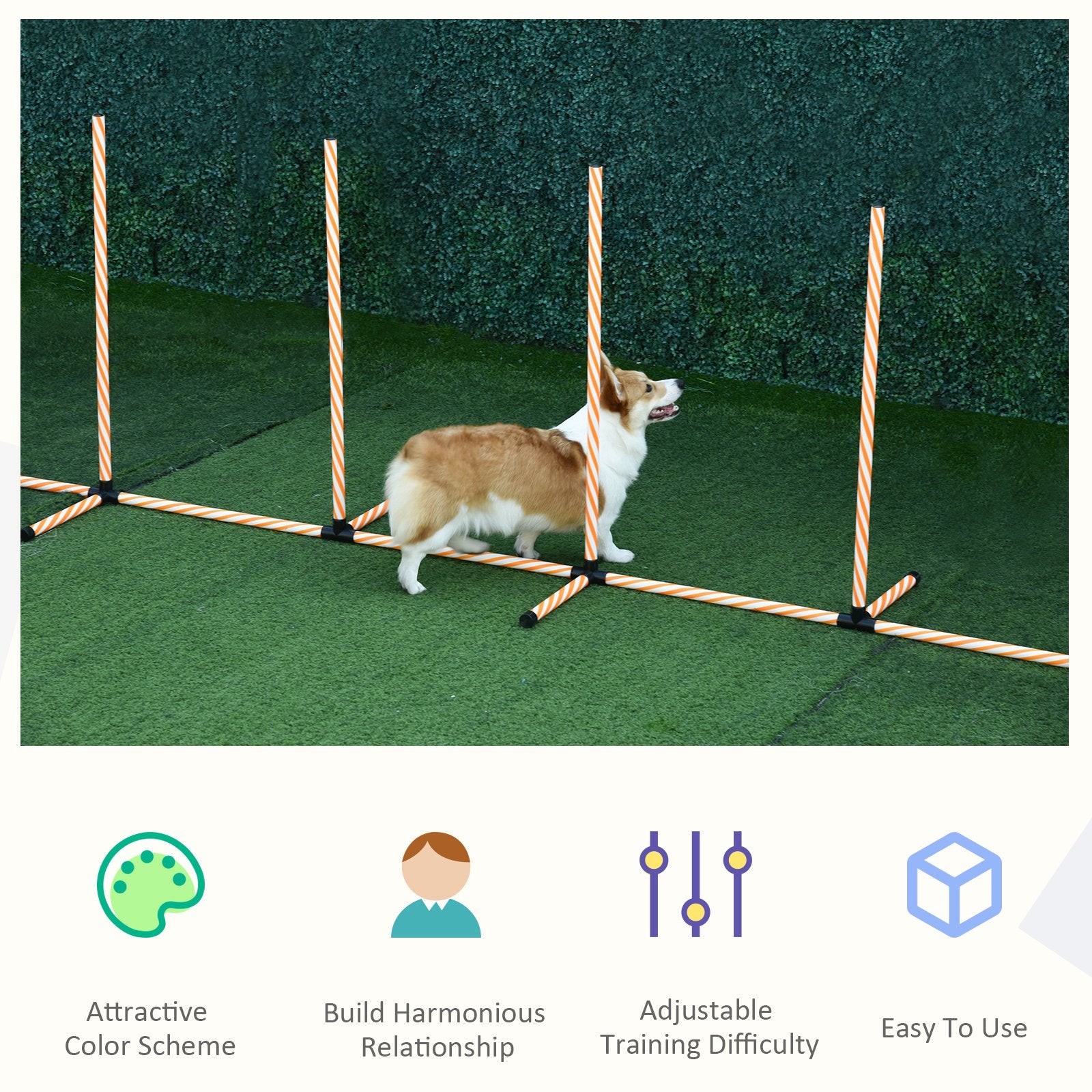 Pet Agility Training Equipment Dog Play Run Jump Hurdle Obedience Training Set