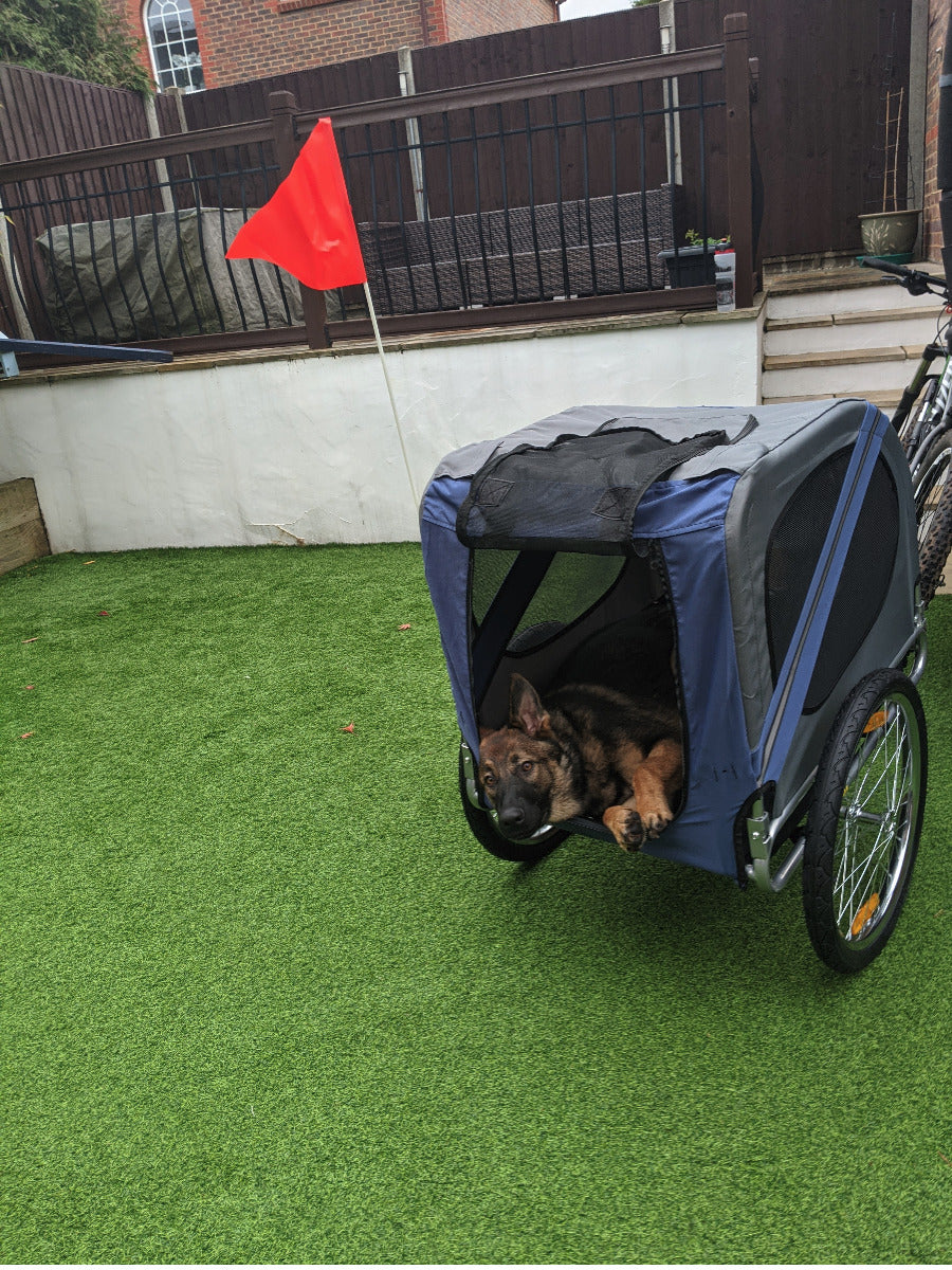 Pet Bicycle Trailer Foldable Dog Cat Bike Carrier with Suspension- Blue