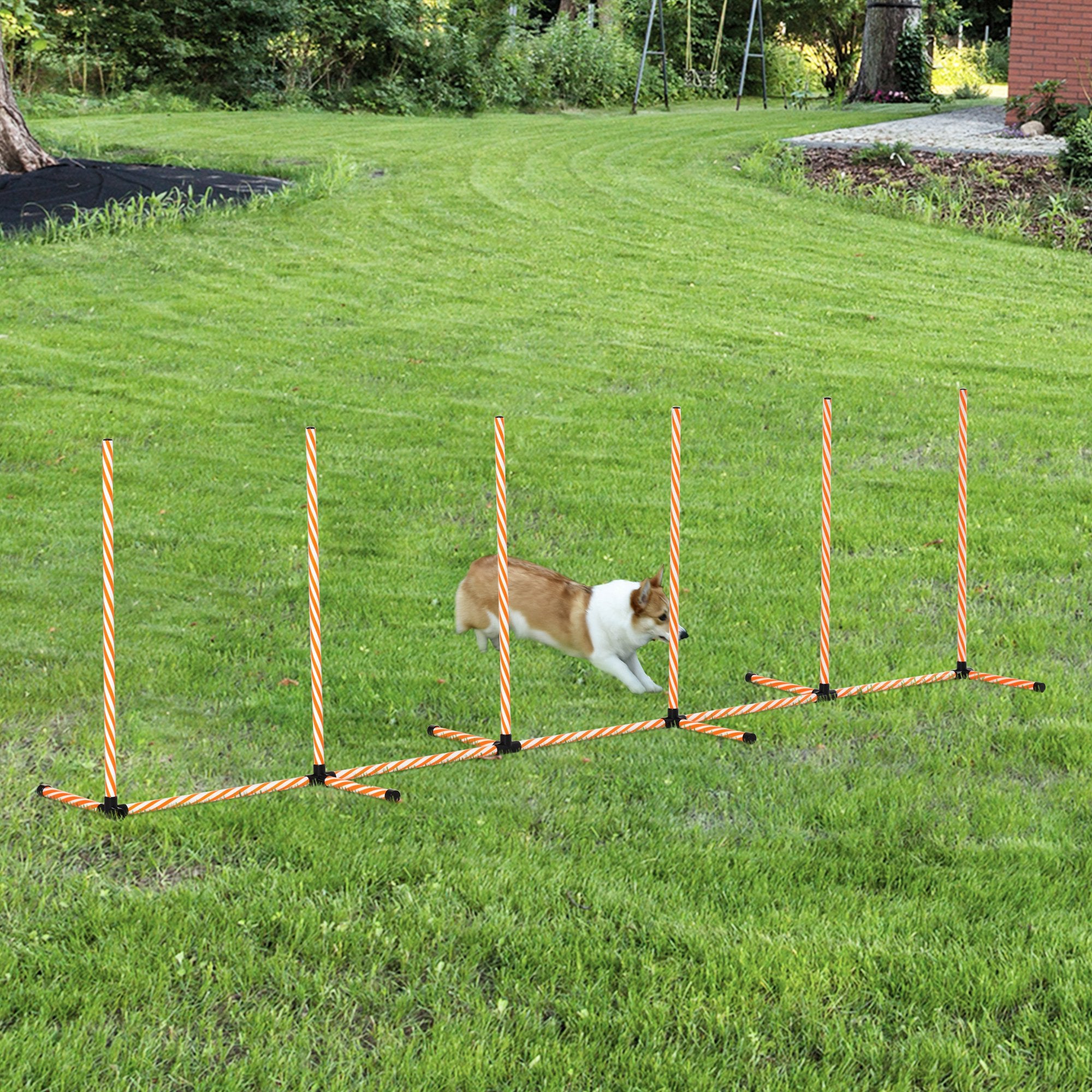 Dog Agility Weave Poles Training Obstacle Course Set Slalom Equipment with Bag