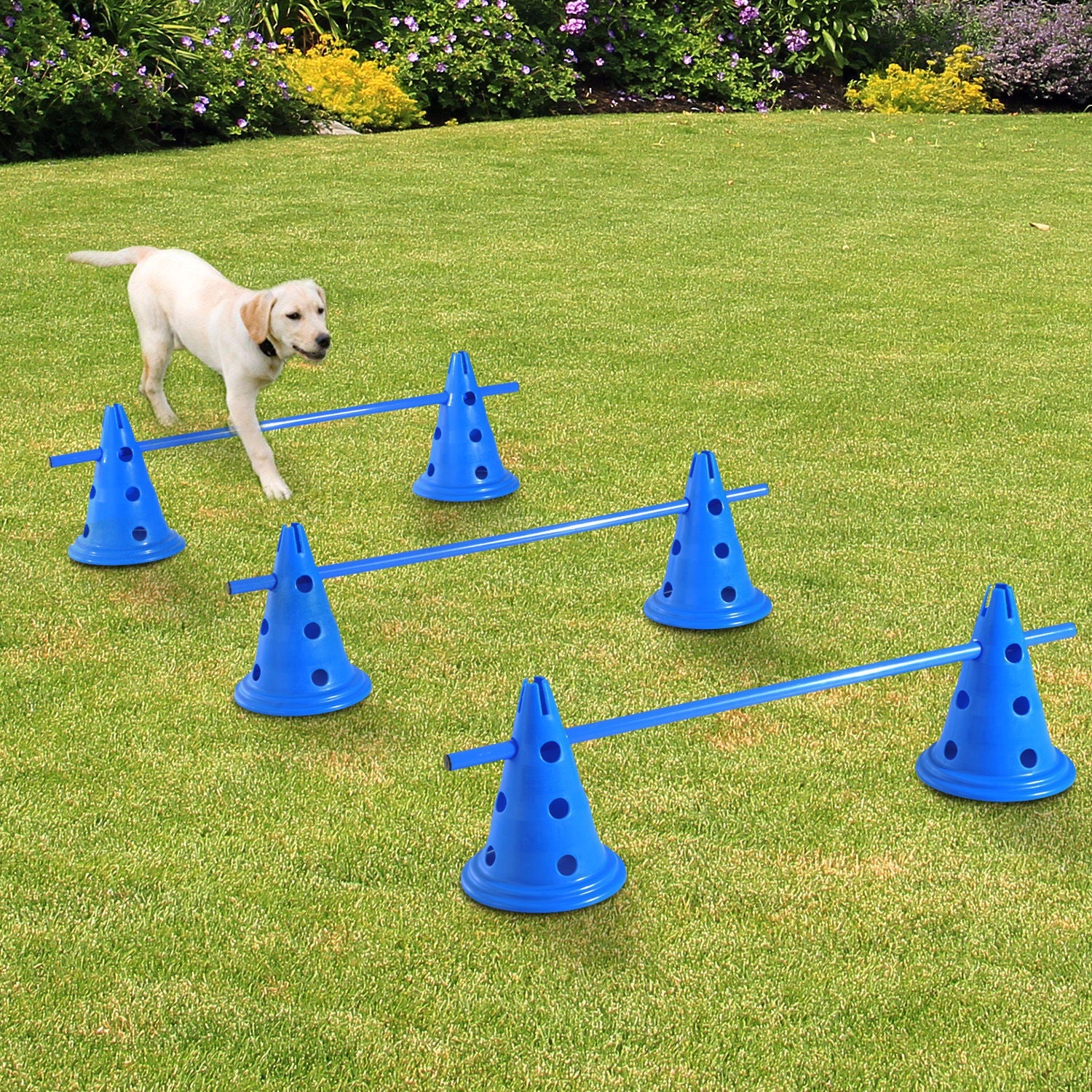 Set of 3 Dog Agility Equipment Jumps Kit-Blue  