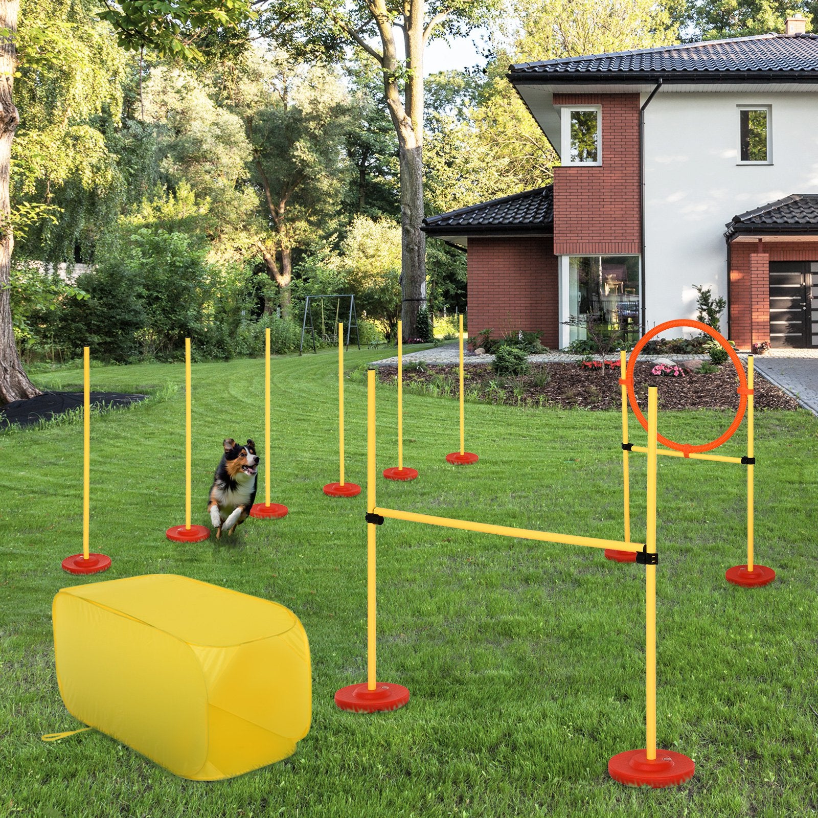 Dogs 4-Obstacle ABS Agility Training Set Yellow/Red